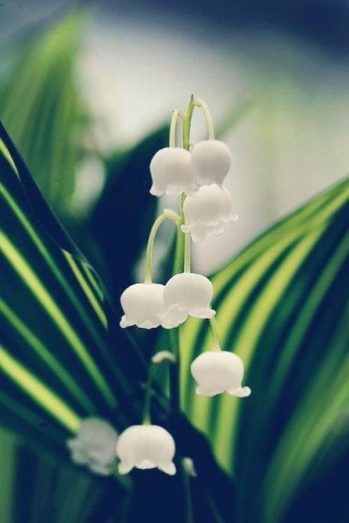 Доброе утро. Что женщина хочет? 02