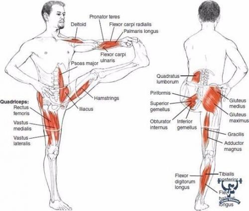 Растяжка всего тела. 02