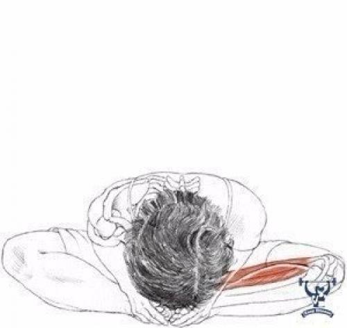 Растяжка всего тела. 03