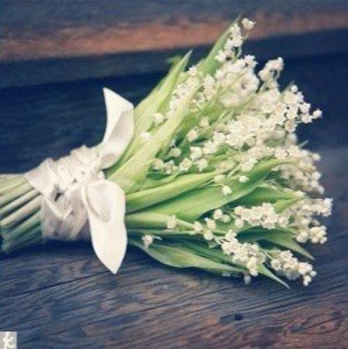 Доброе утро. Что женщина хочет? 04