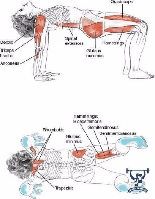 Растяжка всего тела. 05