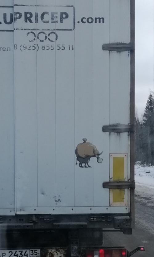 Пробуждение весны. Который раз мудрости природы удивляюсь! 01 Пробуждение весны. Который раз мудрости природы удивляюсь! 01