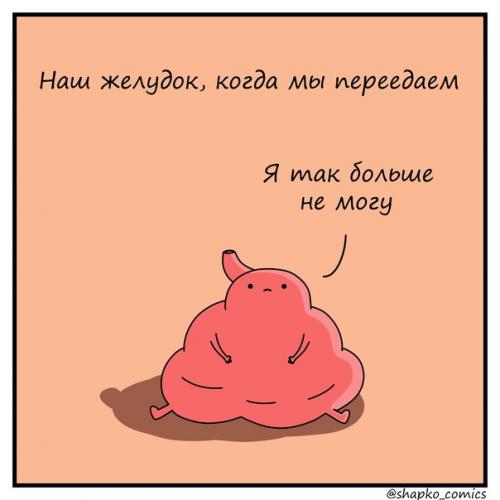 Время от времени переедают все, особенно в период праздников. 02