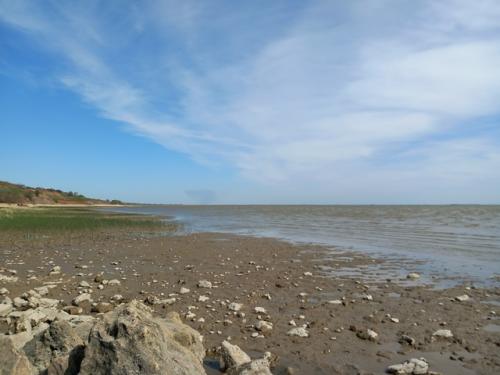 Маяк в мержаново. 09 Маяк в мержаново. 09