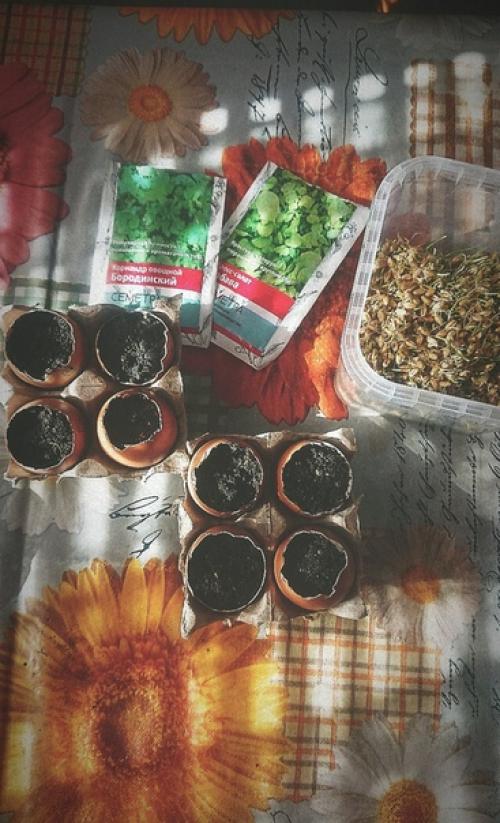 Что нового у нас? 04