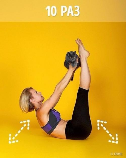 Тренировка на самоизоляции. Заниматься вдвоем с котом намного веселее. 06