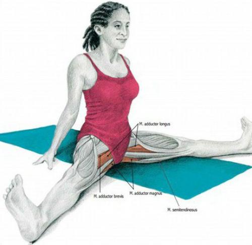 Растяжка мышц до и после тренировки. 08 Растяжка мышц до и после тренировки. 08