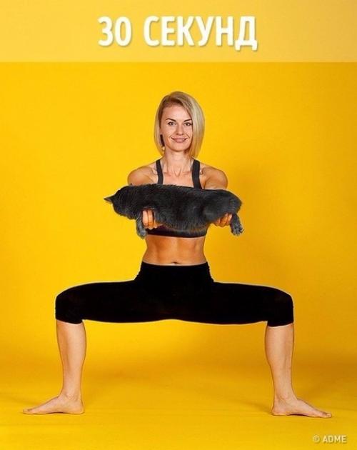 Тренировка на самоизоляции. Заниматься вдвоем с котом намного веселее. 05