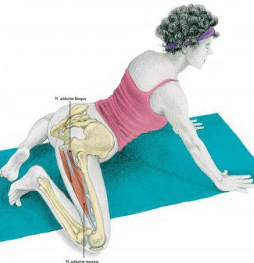 Растяжка мышц до и после тренировки. 05 Растяжка мышц до и после тренировки. 05