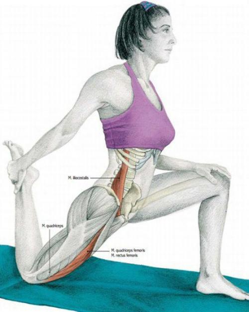 Растяжка мышц до и после тренировки. 06 Растяжка мышц до и после тренировки. 06