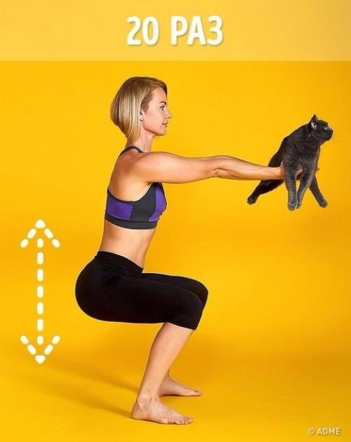 Тренировка на самоизоляции. Заниматься вдвоем с котом намного веселее. 02