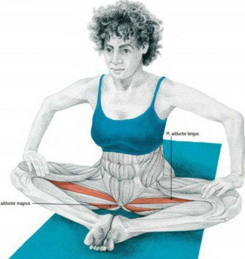 Растяжка мышц до и после тренировки. 07 Растяжка мышц до и после тренировки. 07