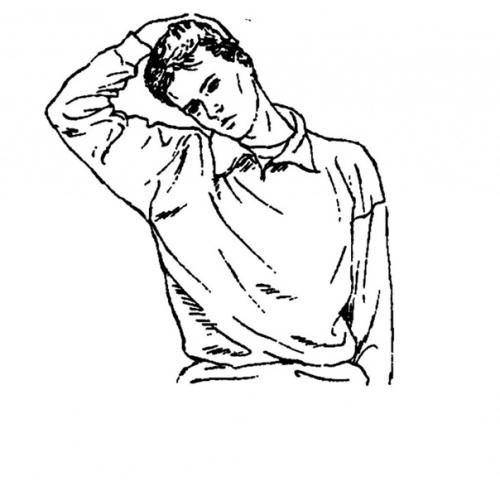 Скоро на работу, снова сидящий образ жизни. 02