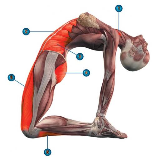 Хроники нарнии.  Шучу. 01
