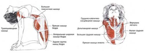 Хроники нарнии.  Шучу. 02