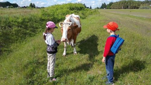 Ну вот и подошло к своему завершению воскресное семейное путешествие. 01