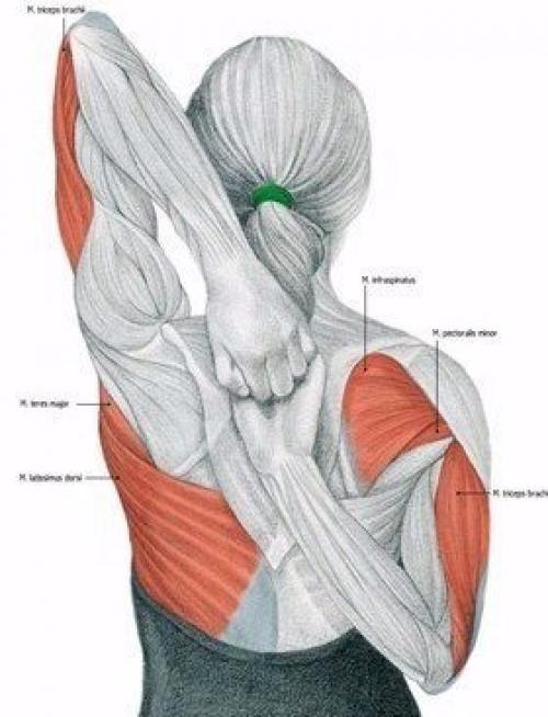 Растяжка мышц до и после тренировки. 09 Растяжка мышц до и после тренировки. 09