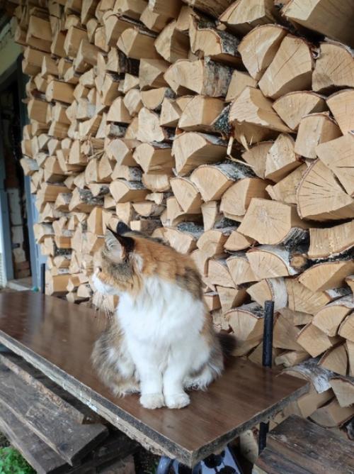 Неделя Выдалась Тяжёлой - самая частая фраза, которую я говорю. 03