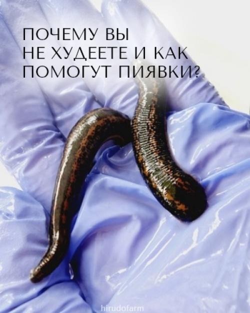 Почему вы не худеете, даже если правильно питаетесь? 

