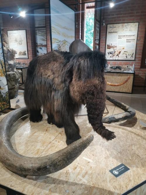 Музей порадовал нижегородскийкремль. 02