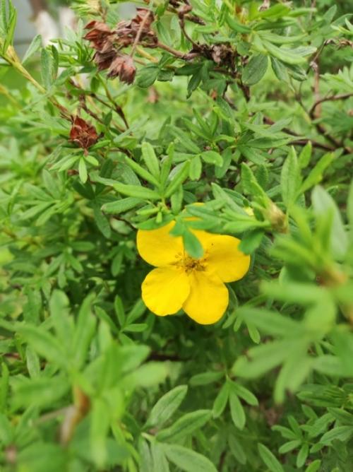 Неделя Выдалась Тяжёлой - самая частая фраза, которую я говорю. 01