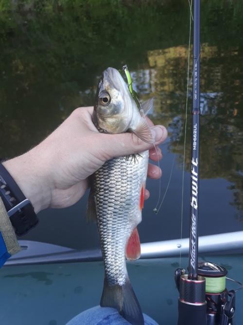 Я выбрался в выходные на дачу на Протву в верховья. 02