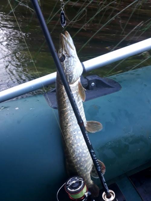 Я выбрался в выходные на дачу на Протву в верховья. 05