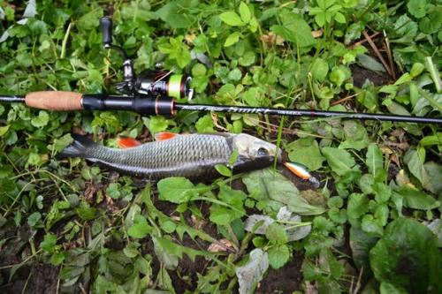 Я выбрался в выходные на дачу на Протву в верховья. 09