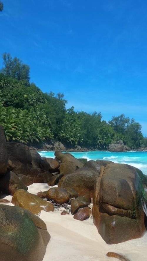 Кому картинки на рабочий стол. 03