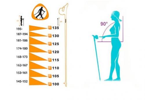 Польза скандинавской ходьбы для всего организма. 02 Польза скандинавской ходьбы для всего организма. 02