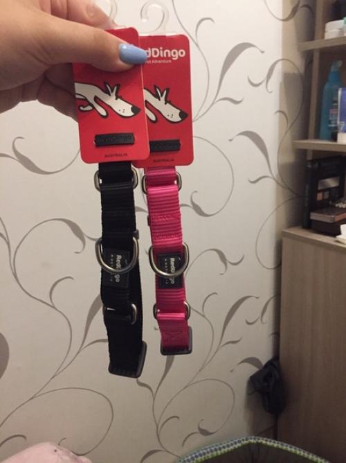 И да, немножко последних Дасти_покупочки. 05