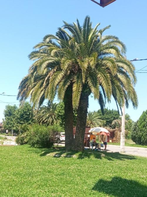 Фиткервс - это не только тренировки! 01