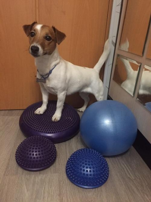 И да, немножко последних Дасти_покупочки. 04