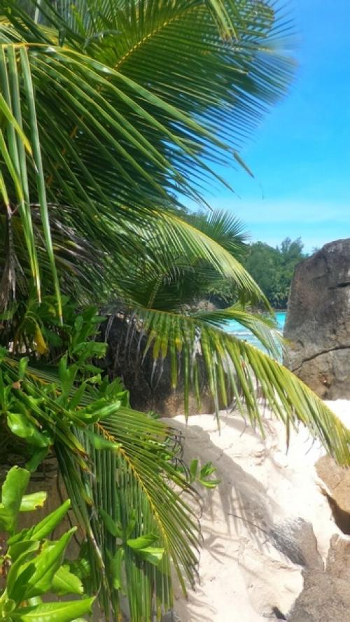 Кому картинки на рабочий стол. 01