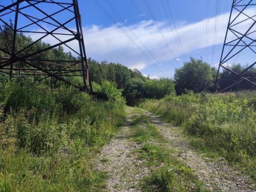 Вчера, наконец, выкатил своего железного коня. 02