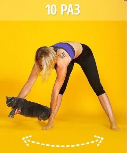 Низкокалорийная куриная пицца. 01