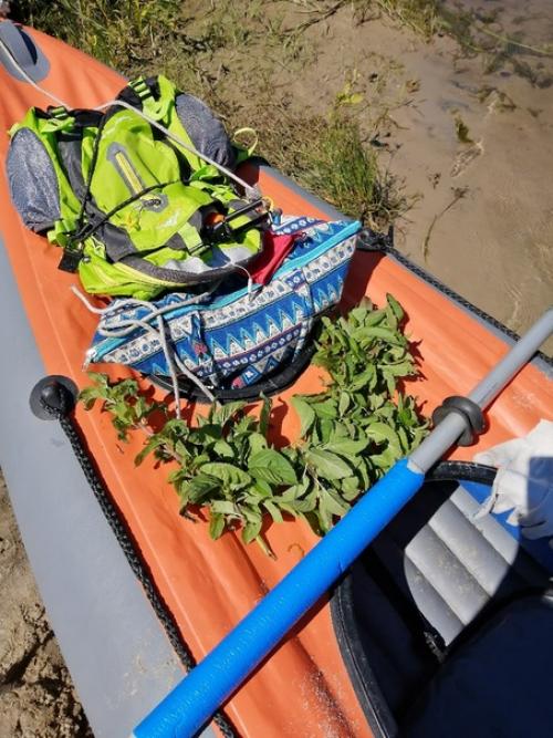 Многие меня спрашивали, а не тяжёл ли такой поход физически для женщины? 01 Многие меня спрашивали, а не тяжёл ли такой поход физически для женщины? 01