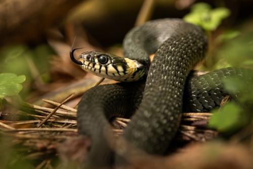 Лето. Странное время года. 01 Лето. Странное время года. 01