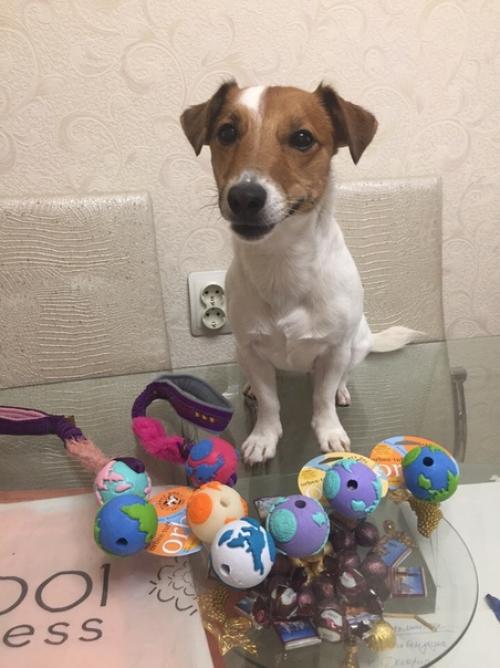 И да, немножко последних Дасти_покупочки. 01