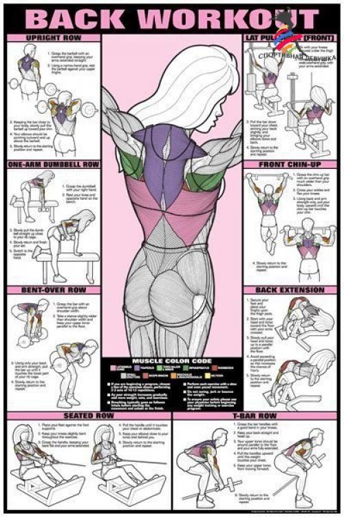 Лучшие упражнения и анатомия тела. 04