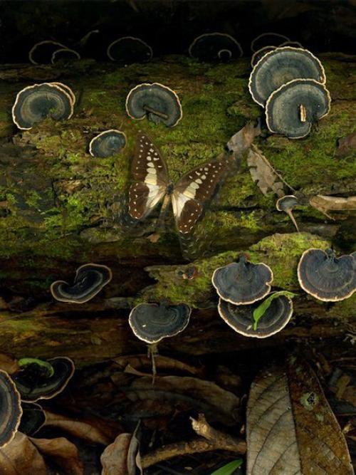 Дела, которые придают силу женщине. 03