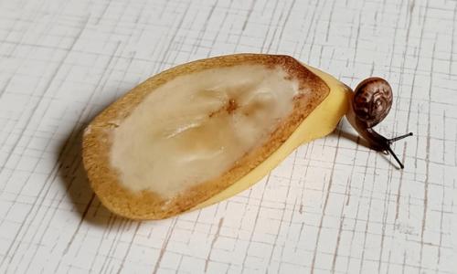 1. да у нас тут что-то новенькое. 04