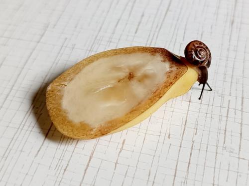 1. да у нас тут что-то новенькое. 03