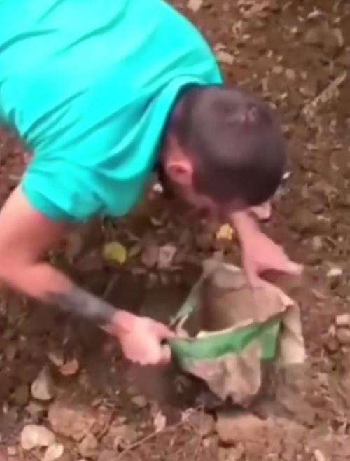 Эпизод 570.  Спасение кота. 01