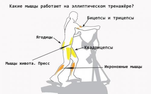 Эффективная тренировка не выходя из дома. 01 Эффективная тренировка не выходя из дома. 01