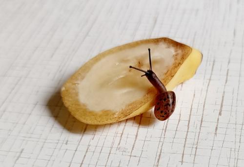 1. да у нас тут что-то новенькое. 05