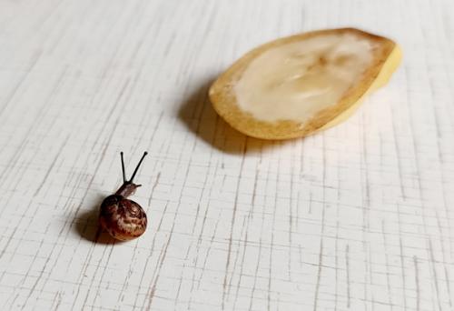 1. да у нас тут что-то новенькое. 01