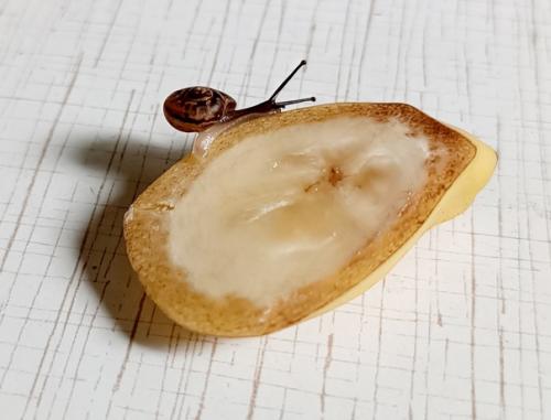 1. да у нас тут что-то новенькое. 02