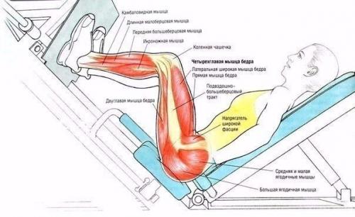 Работаем над низом? 08