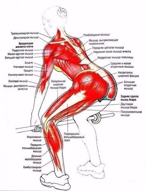 Работаем над низом? 03